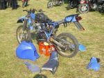 wildcat32-160.jpg