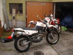 DSC05418tg.jpg