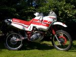 XT600Z_1.jpg