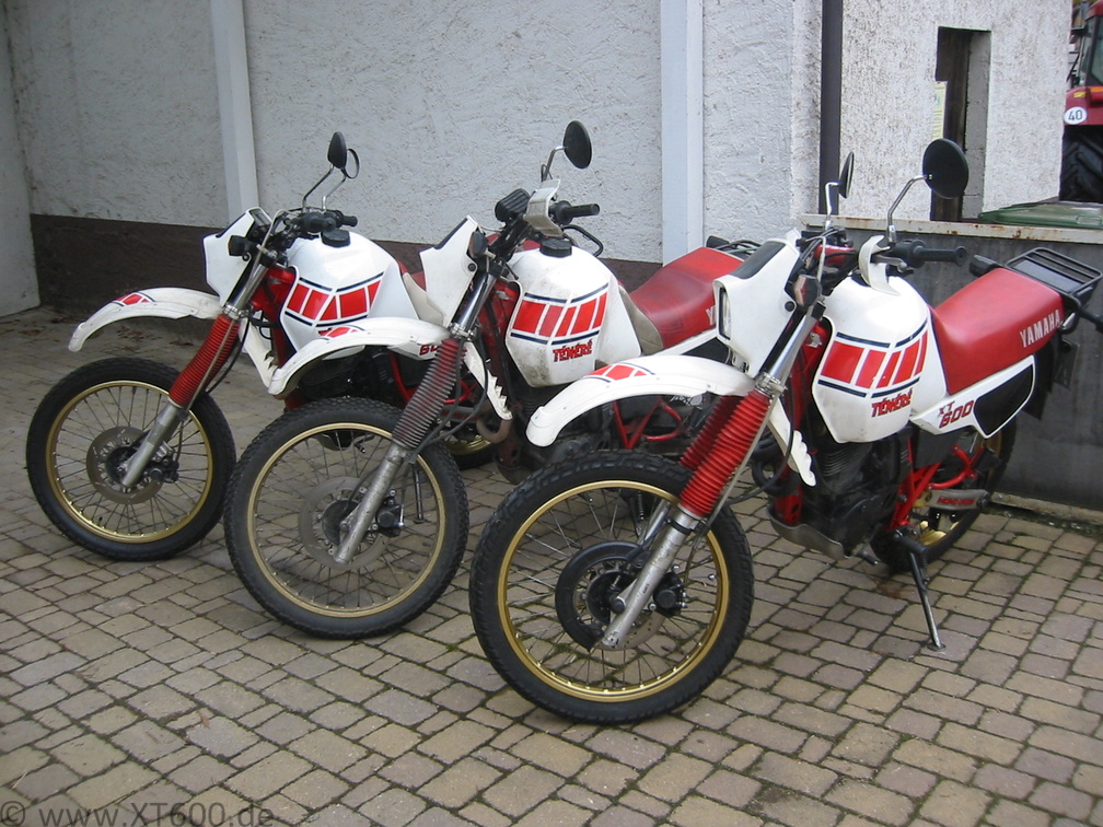 Moped des Monats1