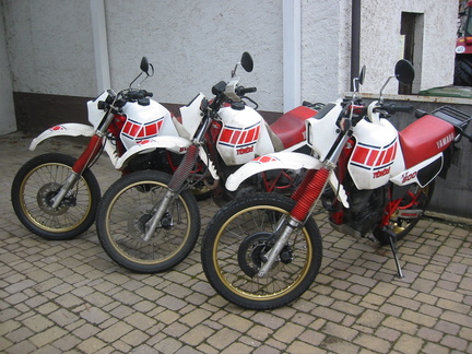 Moped des Monats1