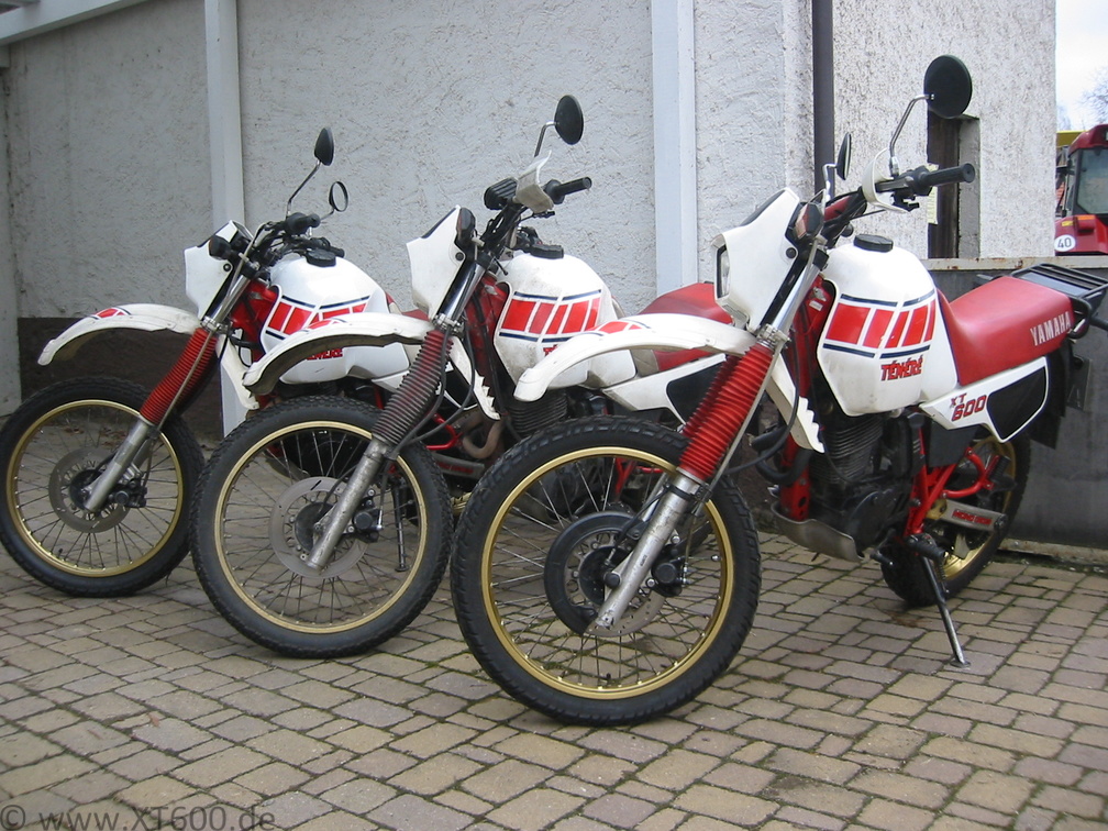 Moped des Monats2