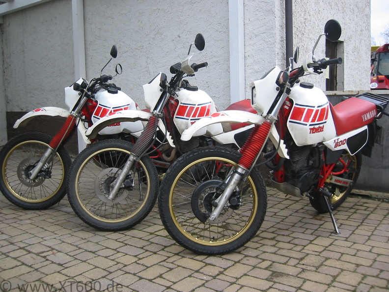 Moped des Monats2