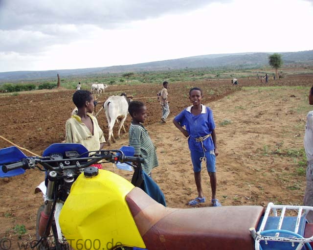 1VJBisidimoEthiopia200309.jpg
