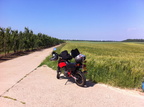 2015-06-14irgendwoinZuid-LimburgNL3