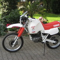 IMG 33382