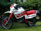 XT600Z 2