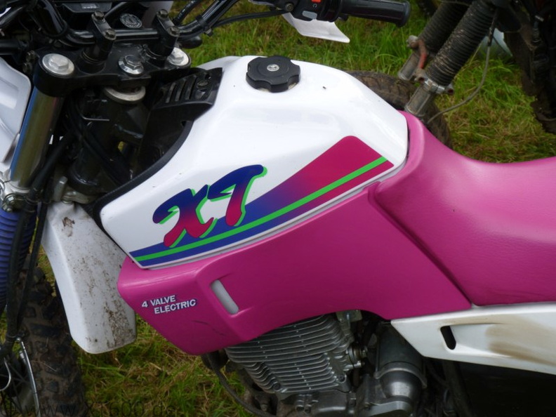 p1020540_.jpg