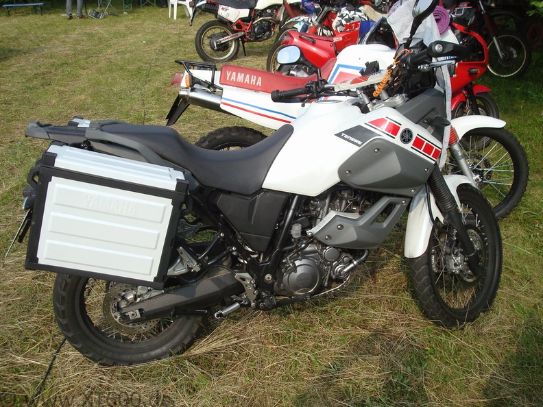 dsc06865.jpg