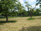 dsc06979
