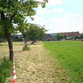 dsc06980