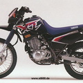 009-xt600