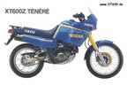 010-xt600