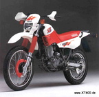 019-xt600