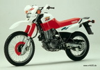 033-xt600