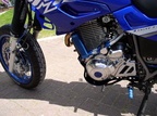 Die-blaue-Elise-09-popup